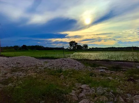 Evening view Stock Photos