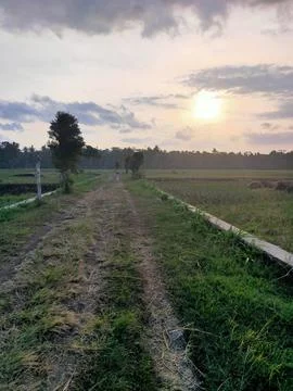 Evening view Foto stock