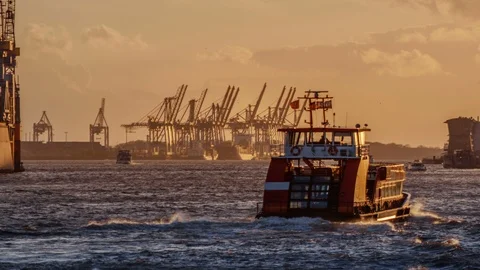 Evening view on the port of Hamburg Stock Footage 87803320