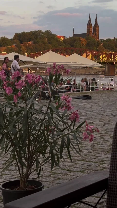 An evening view of Prague's Vltava River embankment with street musicians Stock Footage 289375750