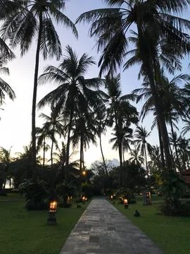 Evening view of a resort Stock Photos