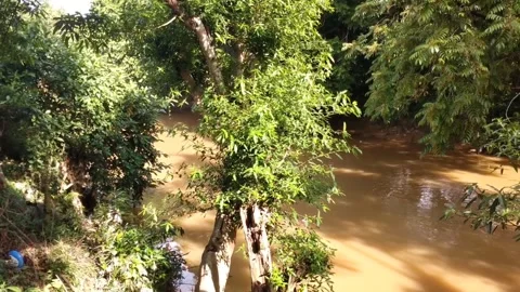 Evening view on the river bank Stock Footage 243366005