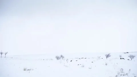 Evening view of snowy fields Stock Footage 166700391