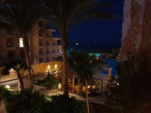 Evening view from the window to palm trees in Hurghada, Egypt Stock Photos