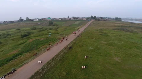 Evening in the village 库存影片 66814070