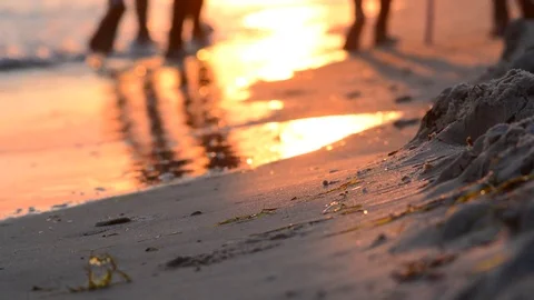 Evening walk along the coast Stock Footage 75012243