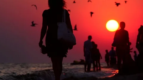 Evening walk along the coast Stock Footage 75013243