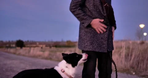 Evening Walk with Dog: Stock Footage 329681914