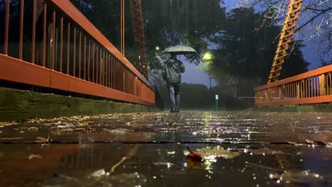 Evening Walk During Rainstorm Video stock 229915736
