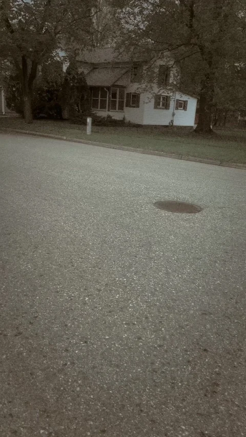 Evening walk Stock Footage 279520824