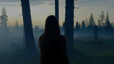 Evening walk in the forest Stock Footage 100049184