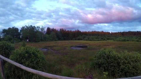Evening walk in a nature reserve. Stock Footage 78674501