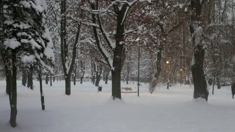 Evening walk in the park Stock-Footage 228752352