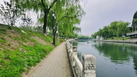 Evening Walk by the River in Summer Stock Footage 316518217