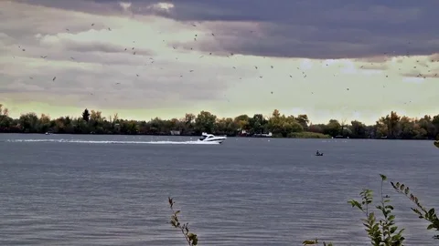 Evening walk on the speedboat. Stock Footage 70170747