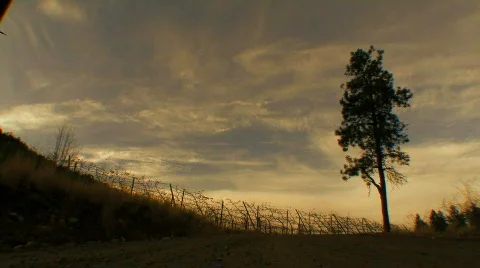 Evening walk into sunset Stock Footage 709654