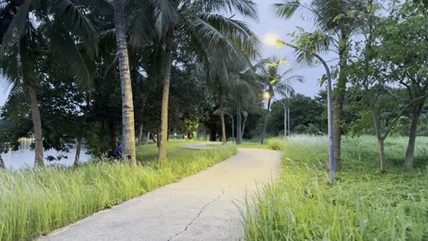 An Evening Walk Through Ecopark Stock Footage 335691748
