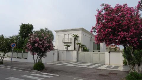 Evening walking Stock-Fotos