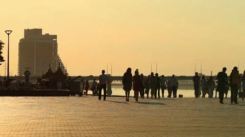 Evening walks. Видео 7728165