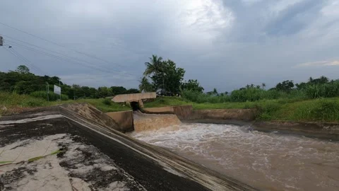 Evening Water Channel in Java Rice Paddies – Farming Life Indonesia Stock Footage 322177666