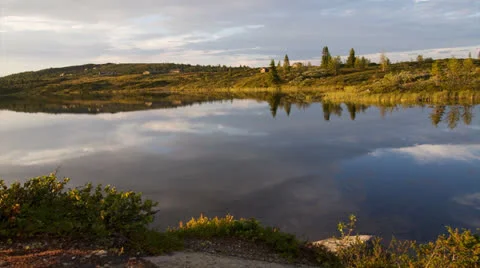 Evening in wilderness - time lapse Stock Footage 26146281