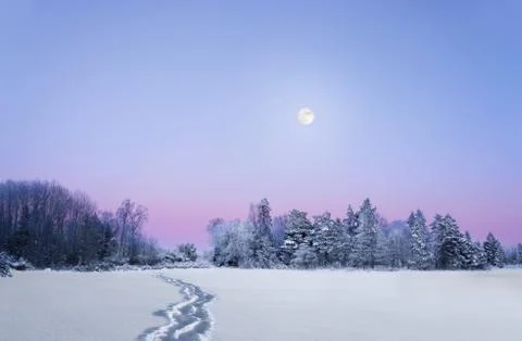 Evening winter landscape with full moon Stock Photos