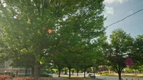 EveningPan Stock Footage 757054