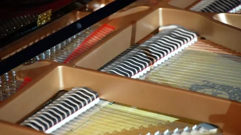 Event 03 Stock Footage 171949721