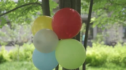 Event 14 Stock Footage 171949711