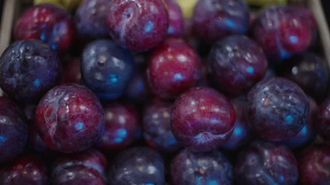 Event catering Stock Footage 324669712