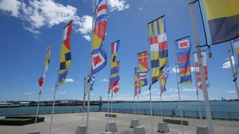 Event Flags walking through a sea of colour Stock Footage 235265132