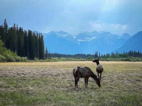 Eventide Stock Photos