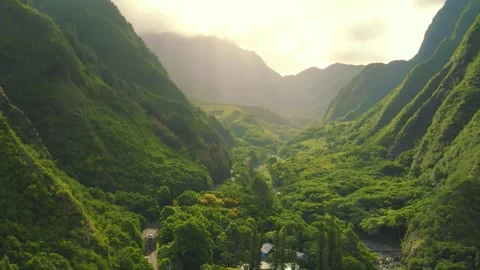 Ever green forests of amazon Stock-Footage 247354316