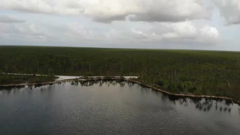 Everglades 2 Stock Footage 160231349