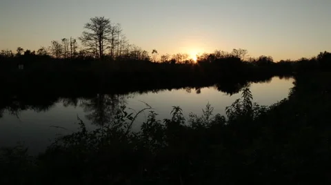Everglades 5 Stock Footage 59891994