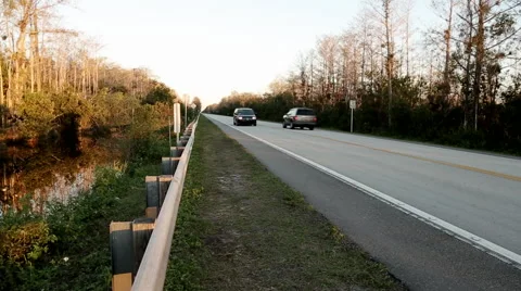 Everglades 7 Stock Footage 59909227