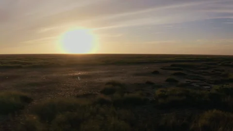 Everglades, Aerial Sunset Stock Footage 130819763