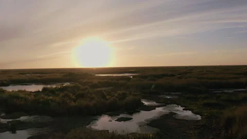 Everglades, Aerial Sunset Stock Footage 130819871