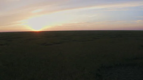 Everglades, Aerial Sunset Stock Footage 130820119