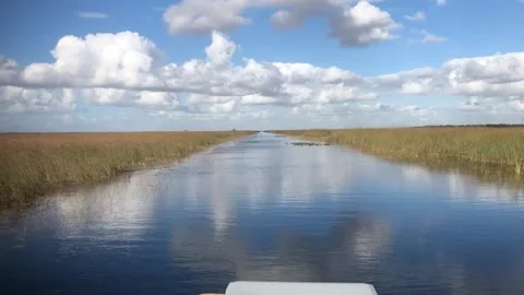 Everglades Airboat Stock Footage 130291502