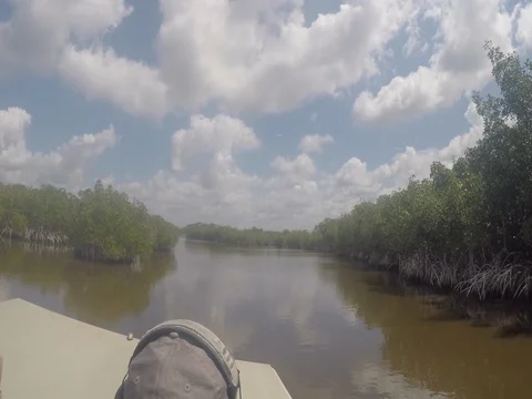 Everglades Airboat Ride View of Sky Stock Footage