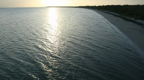 Everglades Beach Shore Stock Footage 26148580