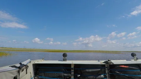 Everglades Boat Stock Footage 128219923