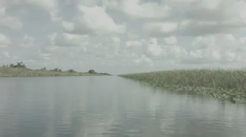 Everglades boat ride Stock Footage 30451892