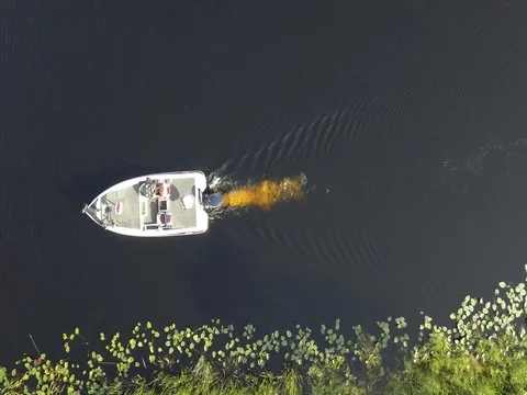 Everglades Boat take off Stock Footage 80652951