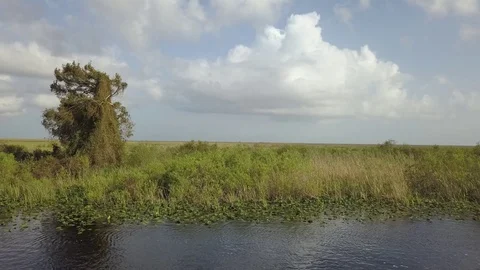 Everglades from Drone Stock Footage 80652918