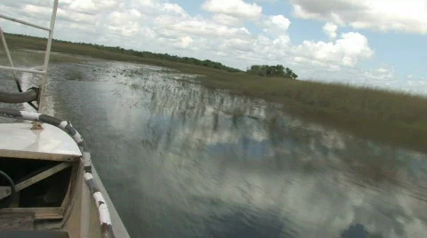 The Everglades in Florida Video stock 141093