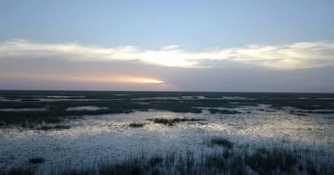 Everglades Fly Forward With No End In Sight Stock-Footage 79447876