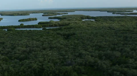 Everglades Islands Vídeos de archivo 26150583