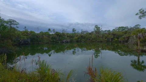 Everglades Lagoon Right Pan Video stock 273183378